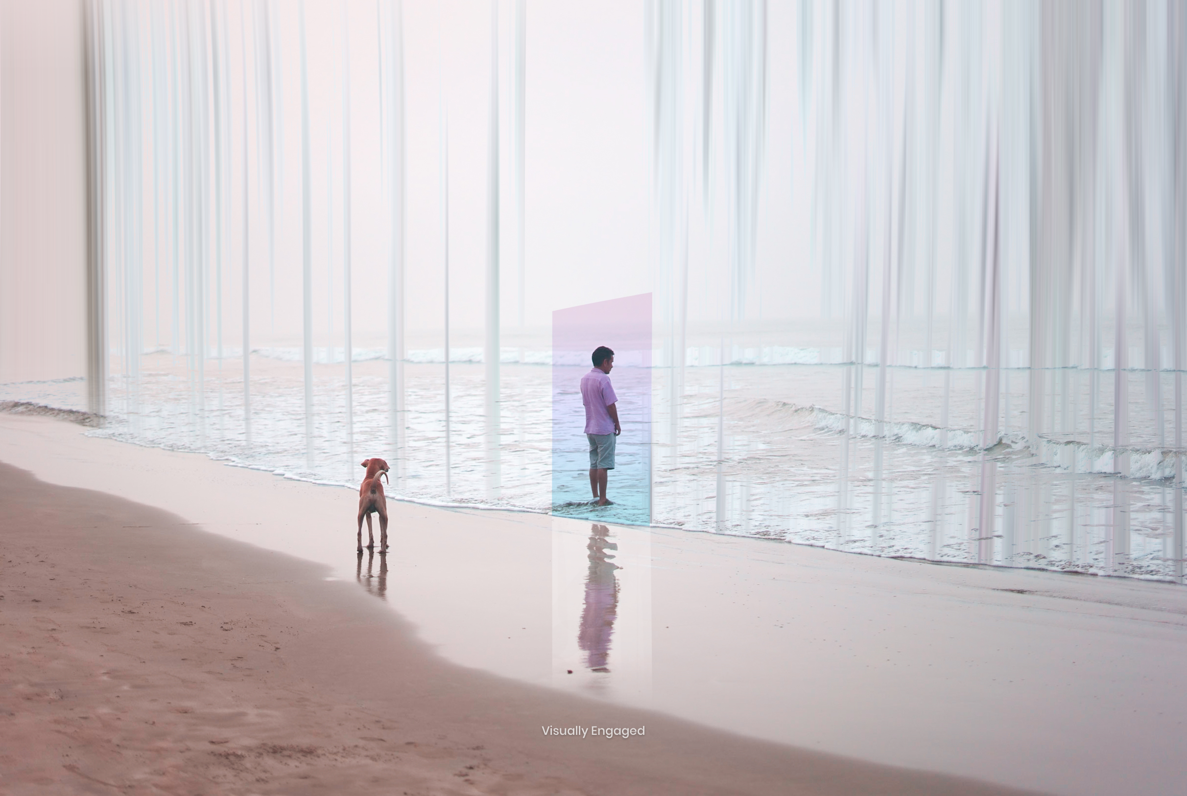 Isolate_1 Isolated